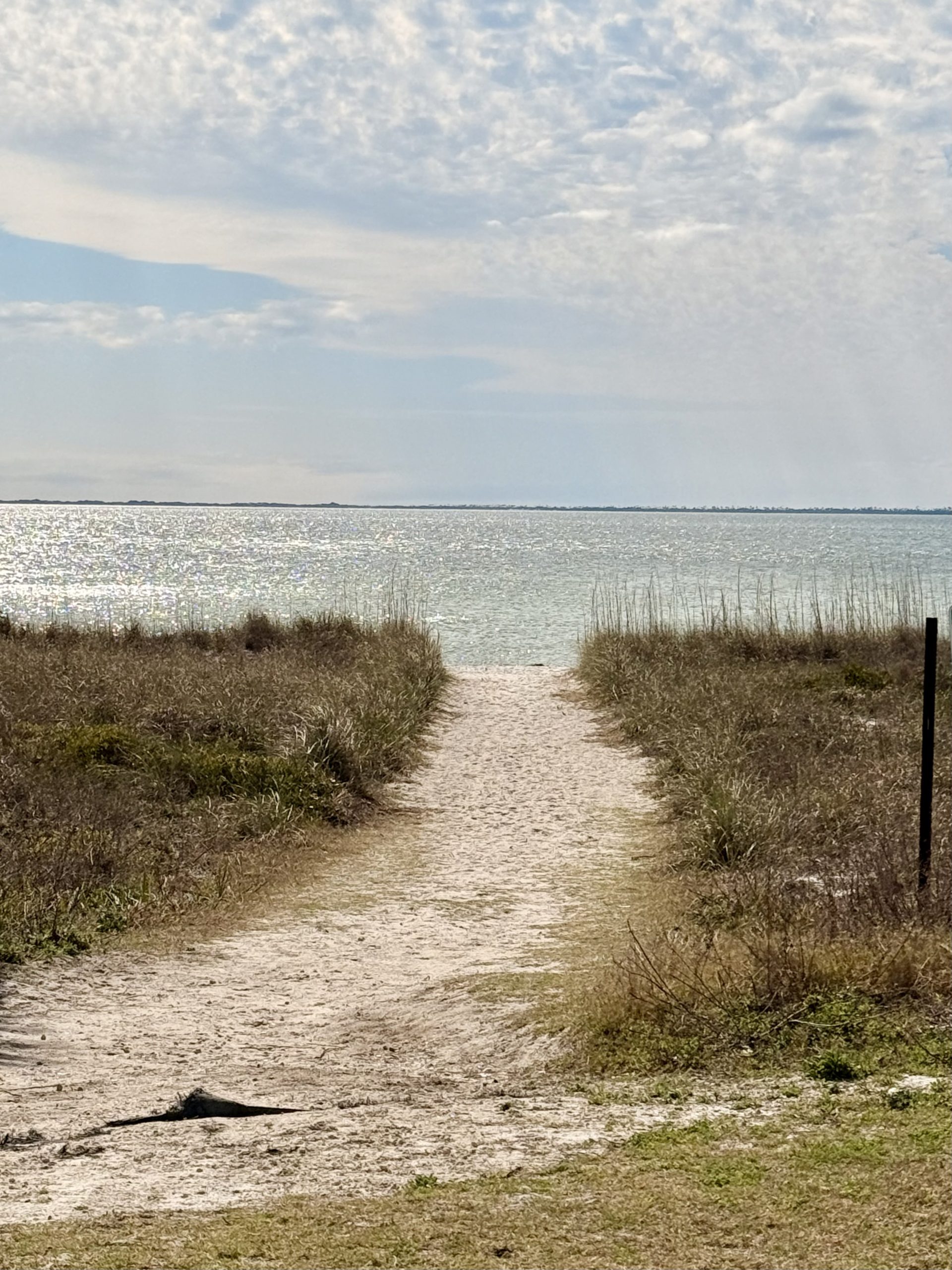 Walkway to beach